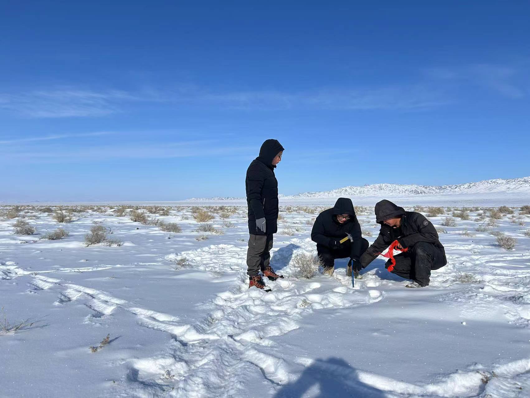 1762931229141169.jpg 10e4b0cdda1ad72b6f3a1f693b883f5d.jpg